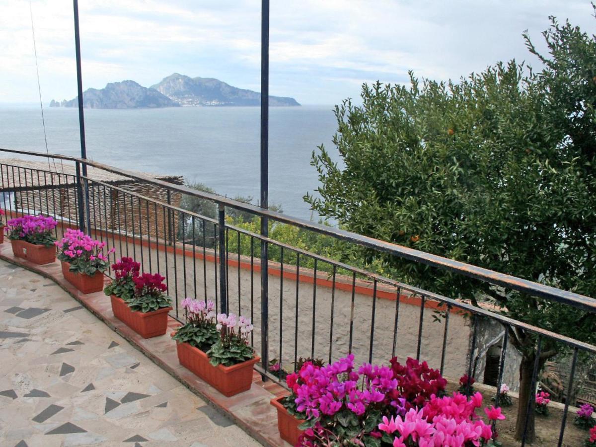 Apartment Don Luigino - Capri View By Interhome Massa Lubrense Εξωτερικό φωτογραφία